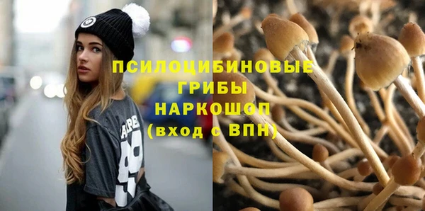 ПСИЛОЦИБИНОВЫЕ ГРИБЫ Алексеевка